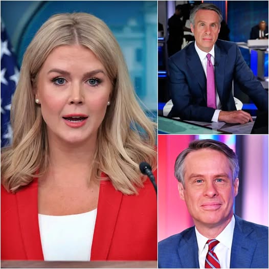 ABC News Anchor SUSPENDED After Karoline Leavitt Exposes Shocking